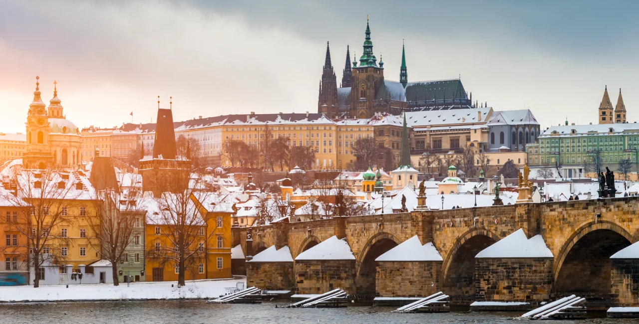 Czech news in brief for March 7: Thursday's top headlines