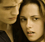 The Twilight Saga: Breaking Dawn - Part 1