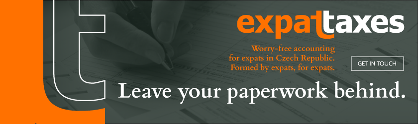 Expat Taxes 1