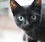 Dos and Don'ts: Superstitions