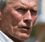 Gran Torino, Defiance, Hotel for Dogs, Confessions of a Shopaholic