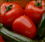 Health-Food Stores & Organic Eating in Prague