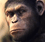 Rise of the Planet of the Apes