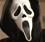 Scream 4 | Just Go with It | Unknown | Somewhere