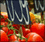 Grocery Shopping Vocabulary