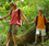 Summer Camps in the Czech Republic