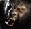 The Wolfman | Valentine's Day | Edge of Darkness