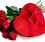 Valentine�s Day 2010