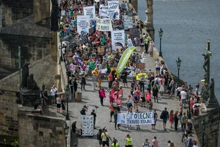 Greenpeace celebrates three decades of activism in the Czech lands