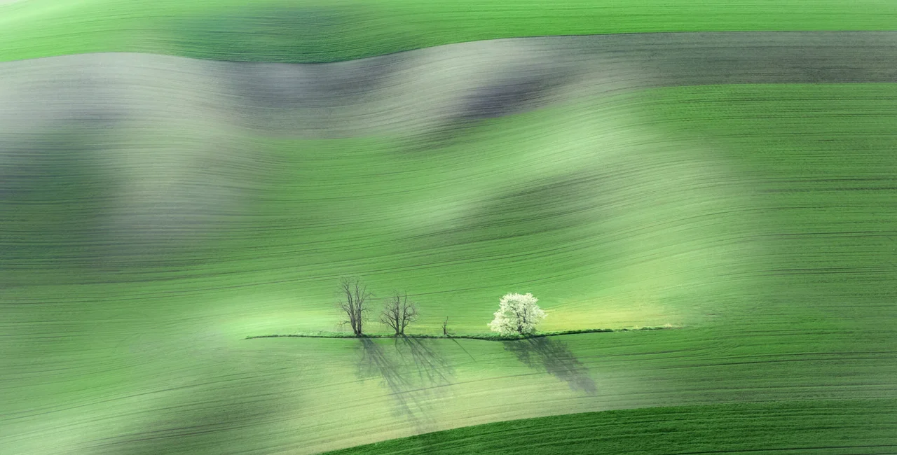 Photograph of Moravia's rolling hills wins 2022 Earth Photo prize