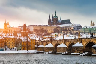 Czech news in brief for March 7: Thursday's top headlines