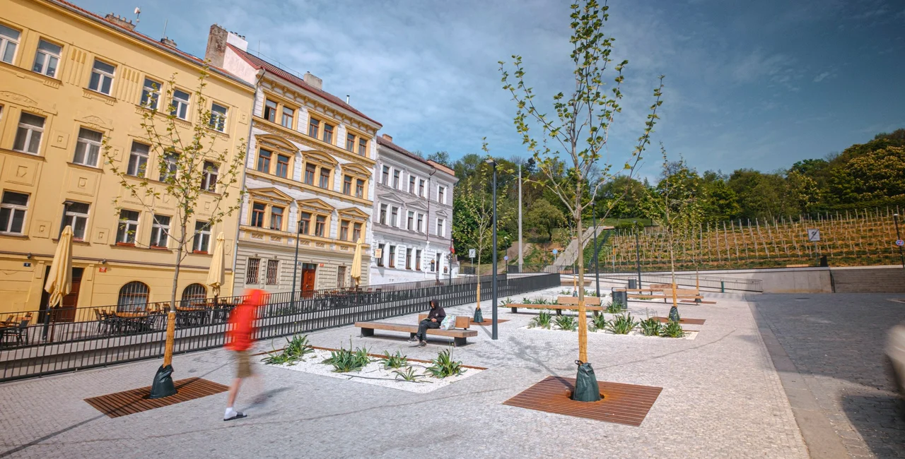 Renovated Prague 3 square features budding new greenery and a public scale