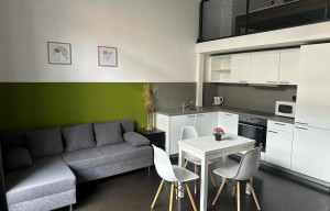 Apartment for rent, 1+KK - Studio, 38m<sup>2</sup>