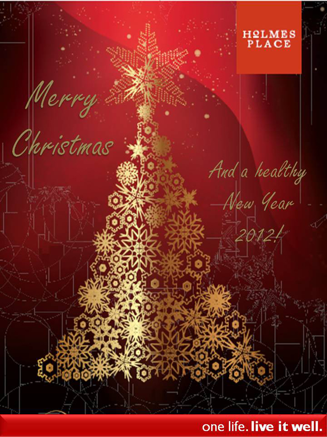 We wish you a Merry Christmas and a healthy 2012!
