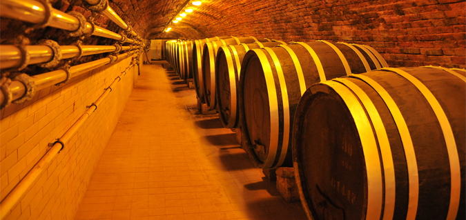 Wine Tourism in the Czech Republic