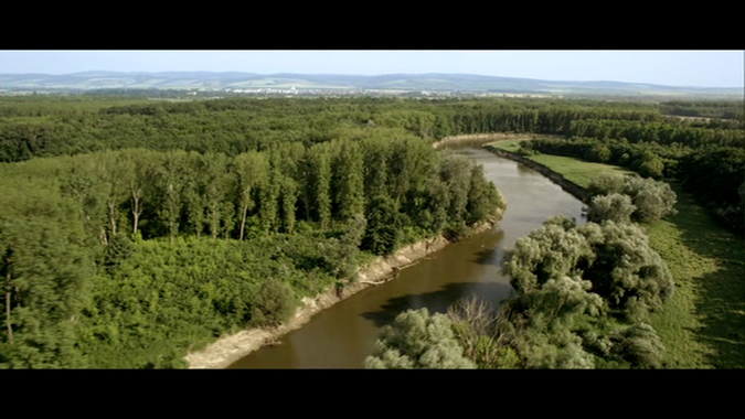 Rodina je základ státu