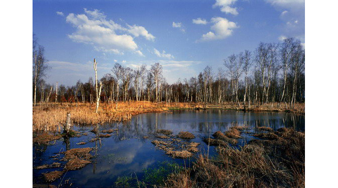 Soos Nature Reserve