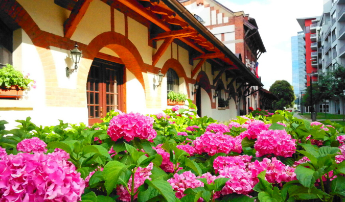 Summer’s Top Terraces to Try