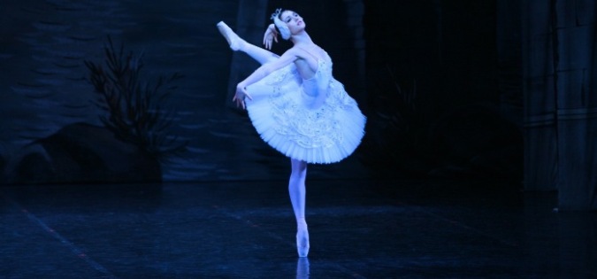 Top 25 Things to Do in November