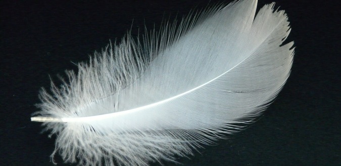 Top 25 Things to Do in December