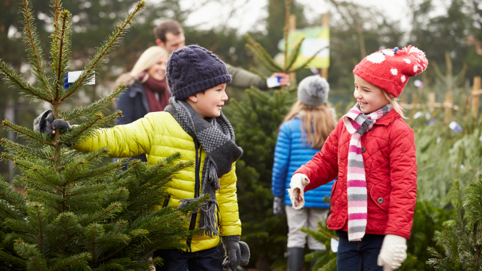 Back to Basics: Czech Xmas Guide!