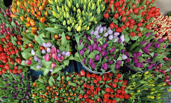 Say it with flowers/Photo: www.farmarivpraze.cz