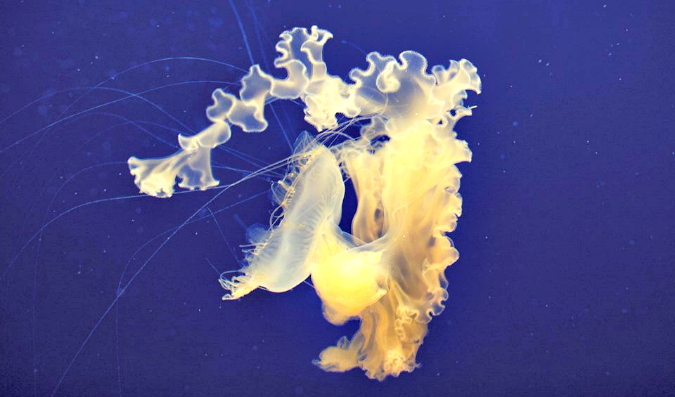 Top 25 Things to Do in March