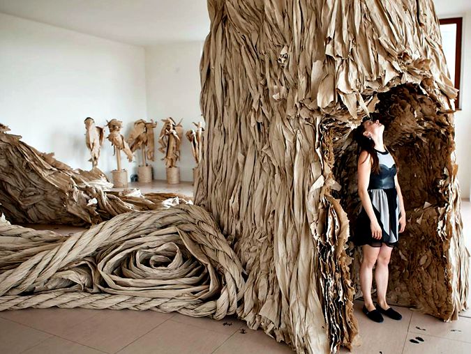 The Forest/Image: Facebook