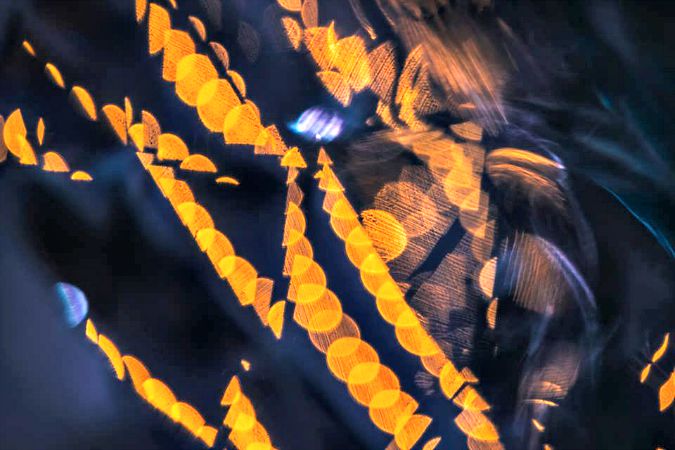 Photo: XYZ Project Facebook