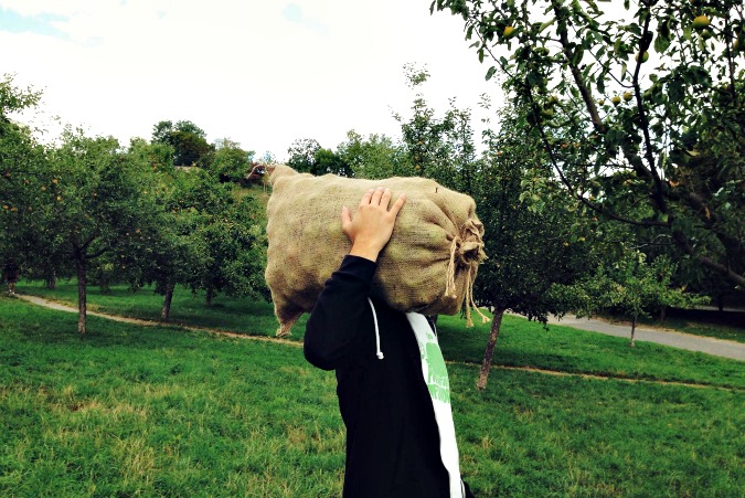 Photo: Facebook/Na Ovoce