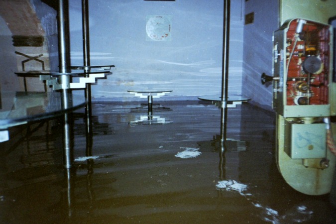 Roxy underwater, 2002