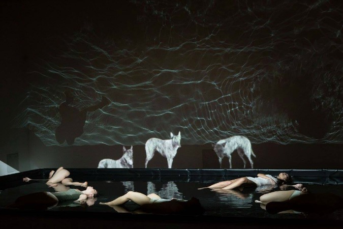 Farm in the Cave/Photo: Marek Volf via Facebook