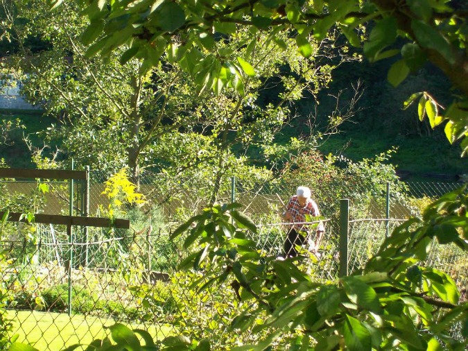 How to Survive A Czech Summer Cottage Stay