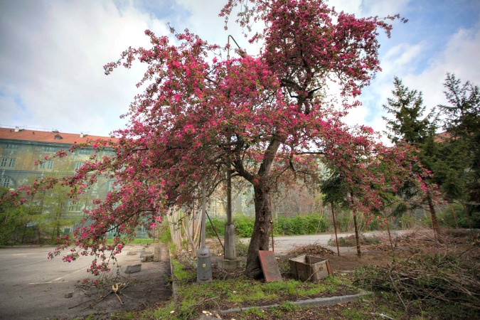 Karlín Barracks; a work in progress