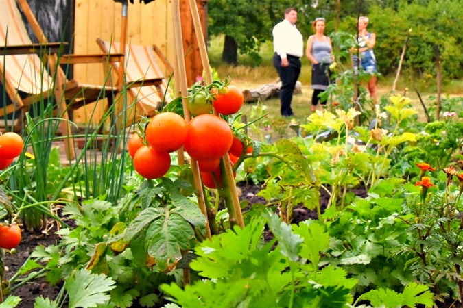 Photo: Komunitní centrum a zahrada Kotlaska / Facebook