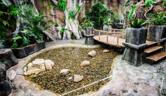 Photo: Papilonia Butterfly House / Facebook