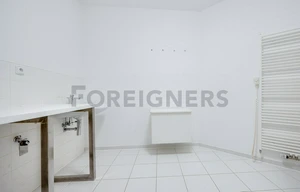 Apartment for rent, 4+kk - 3 bedrooms, 240m<sup>2</sup>