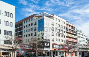 Apartment for rent, 4+kk - 3 bedrooms, 240m<sup>2</sup>