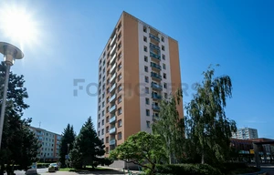 Apartment for rent, 1+1 - Studio, 45m<sup>2</sup>