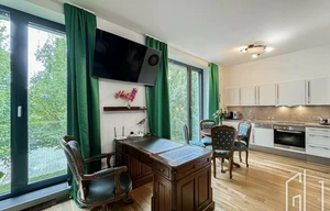 Apartment for rent, 1+KK - Studio, 42m<sup>2</sup>