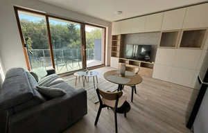 Apartment for rent, 1+KK - Studio, 33m<sup>2</sup>