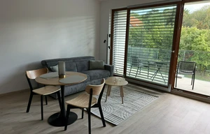 Apartment for rent, 1+KK - Studio, 33m<sup>2</sup>