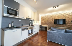 Apartment for rent, 2+kk - 1 bedroom, 45m<sup>2</sup>