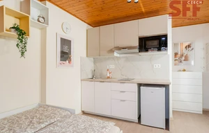 Apartment for rent, 1+KK - Studio, 23m<sup>2</sup>