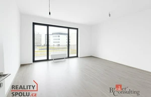 Apartment for rent, 1+KK - Studio, 49m<sup>2</sup>