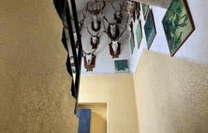 Family house for rent, 50m<sup>2</sup>, 60m<sup>2</sup> of land