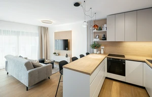 Apartment for rent, 2+kk - 1 bedroom, 51m<sup>2</sup>