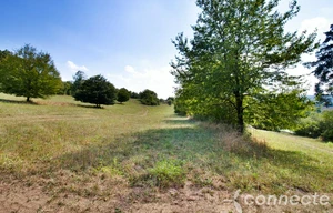 Meadow for sale, 14836m<sup>2</sup>