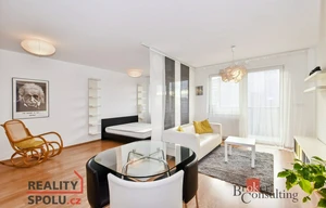 Apartment for rent, 1+KK - Studio, 49m<sup>2</sup>