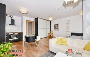 Apartment for rent, 1+KK - Studio, 49m<sup>2</sup>